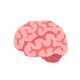 Behavioral, Emotional & Psychosocial Support