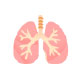 Respiratory, Tracheostomy & Ventilator Care